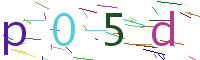 Verify Code