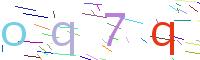 Verify Code