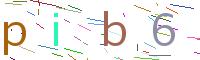 Verify Code