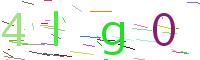 Verify Code