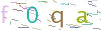 Verify Code