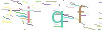 Verify Code
