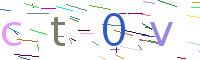 Verify Code