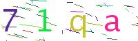 Verify Code