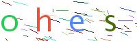 Verify Code